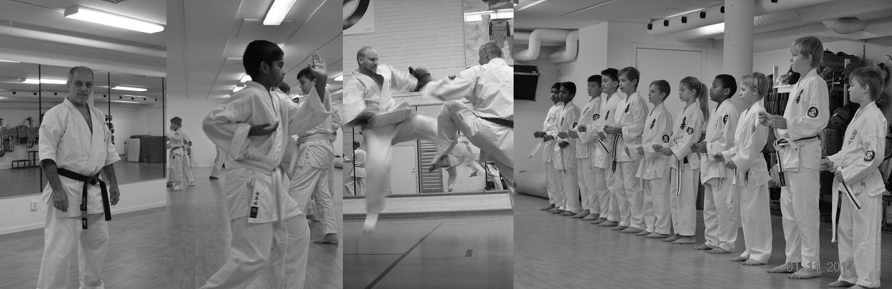 Headerbild personer som tränar Karate