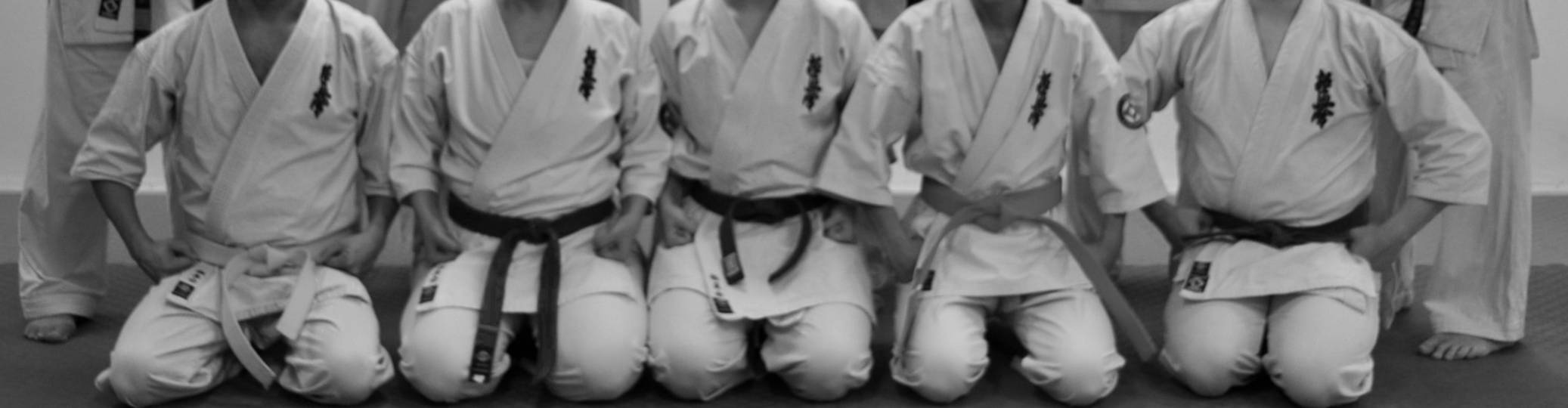 personer i karatedräkter med olika bältesgrad sitter på rad